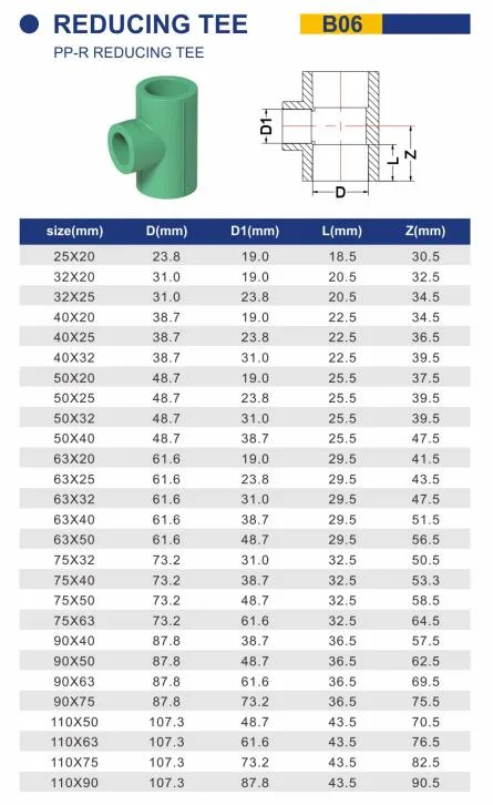 High Quality PPR Green Pipe Fitting for Cold and Hot Water Brands Plumbing Price List Plastic Manufacturer Quality Cap